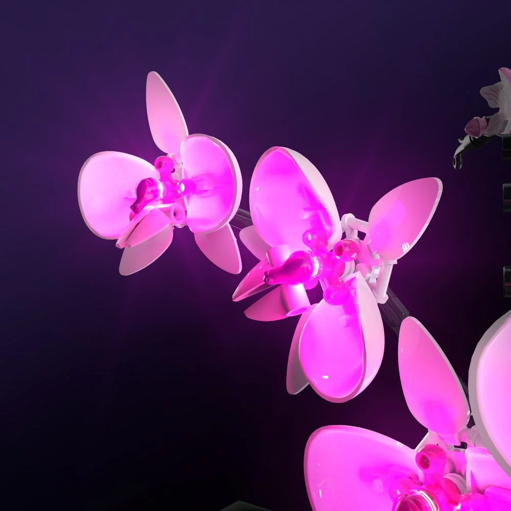Thumbnail 11