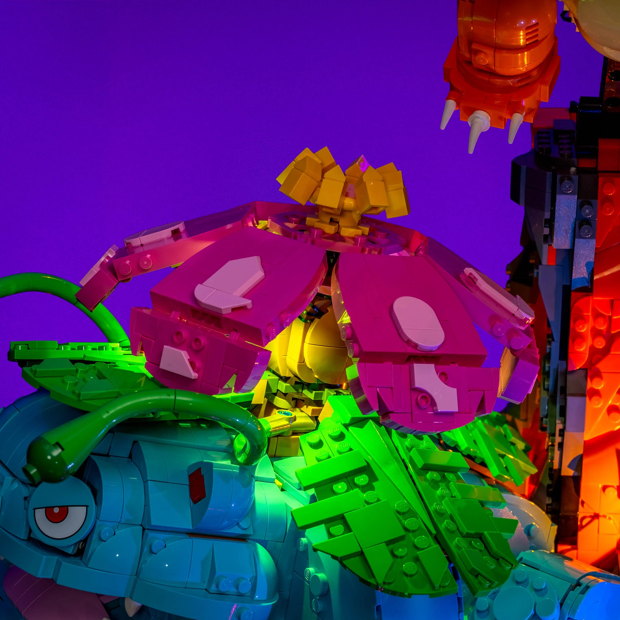 Thumbnail 8