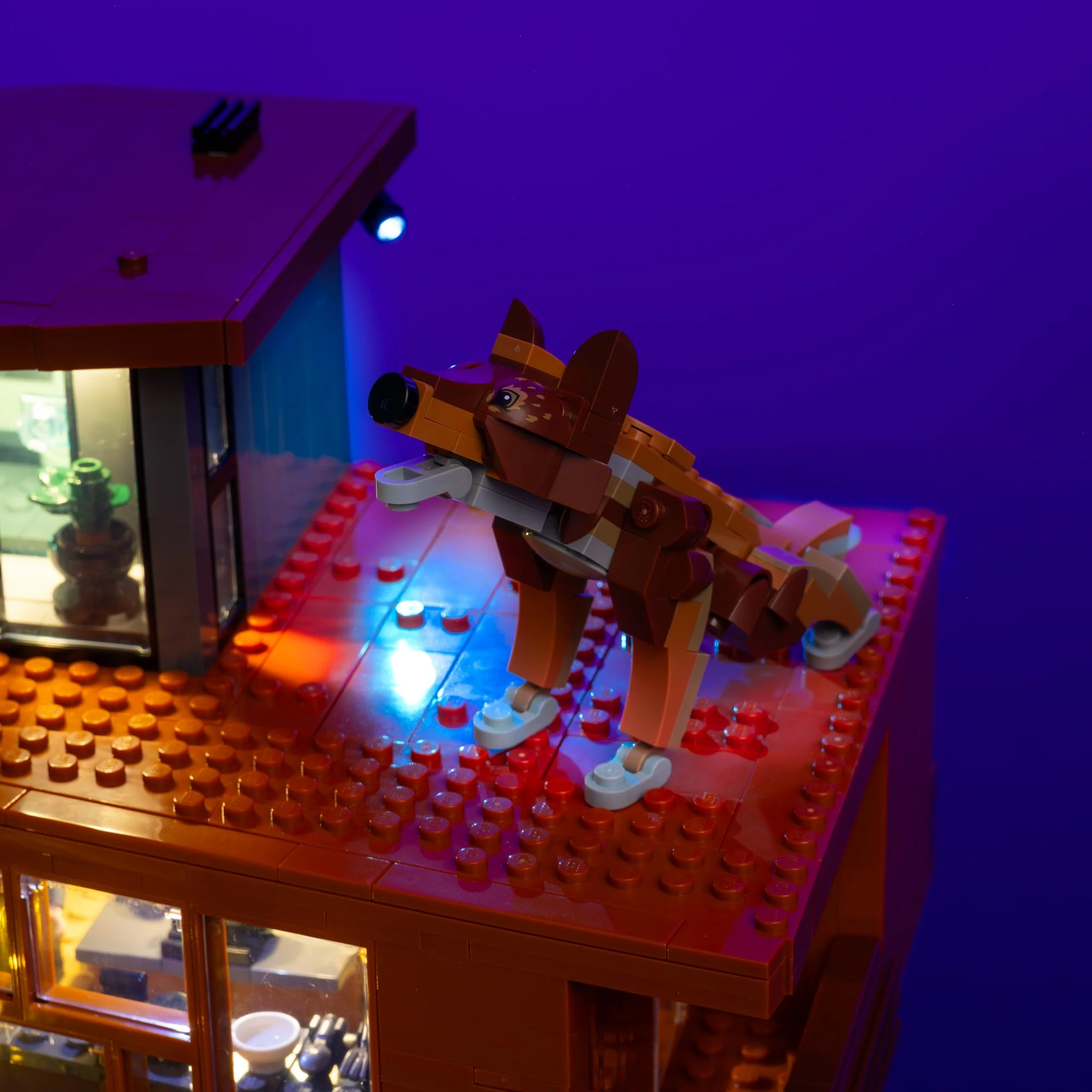 Thumbnail 9